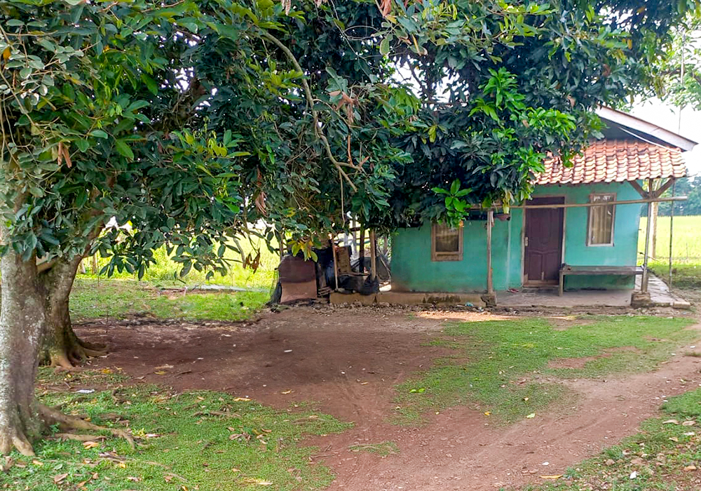 RUMAH DI KAB. SUBANG - WOFF595-1 - foto 2